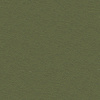 Fabric Color Terrace Fern