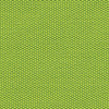 Fabric Color Macaw