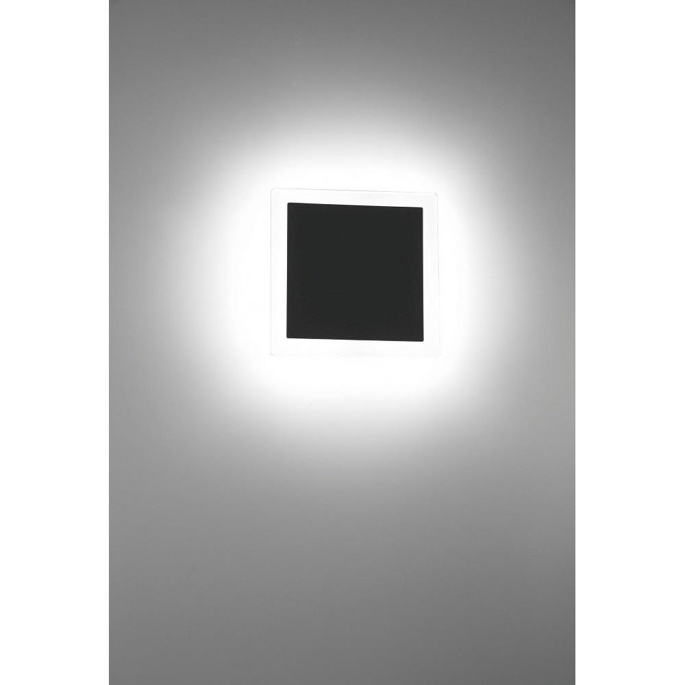 79-BEL-3109338