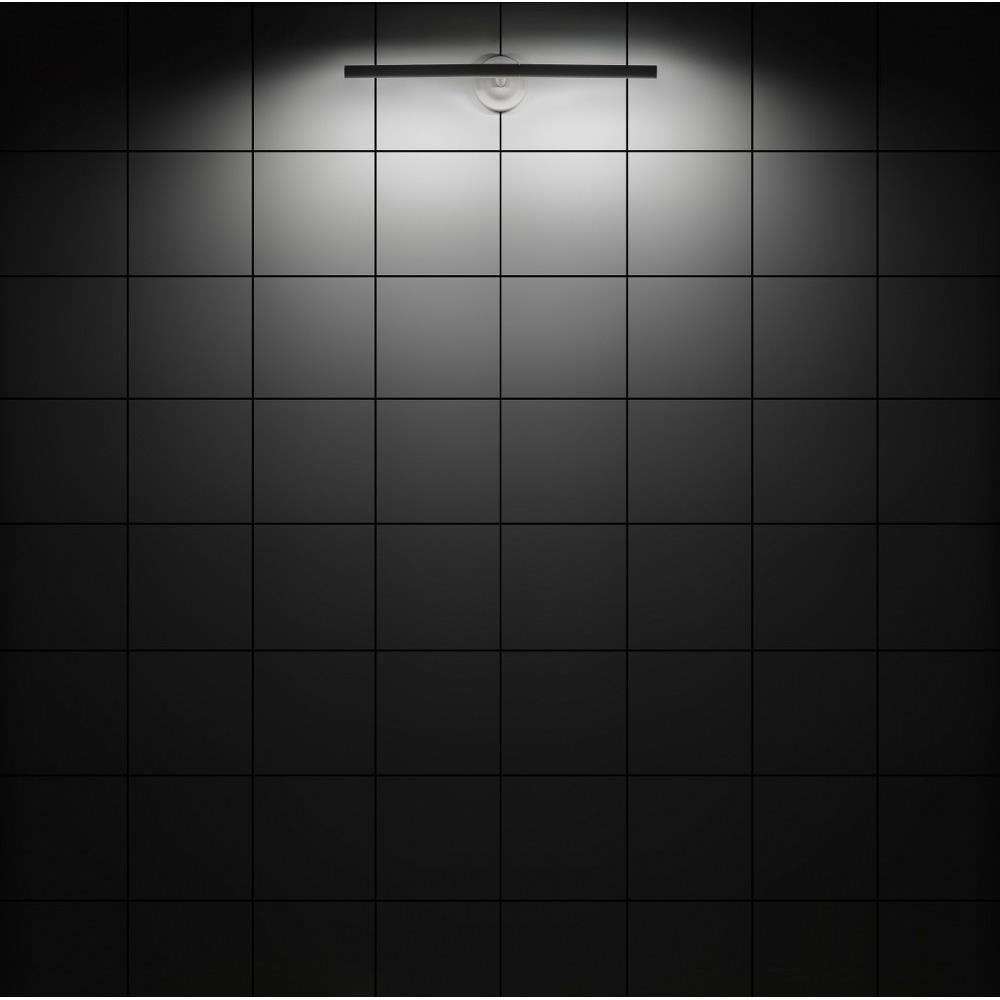 81-BEL-4852518
