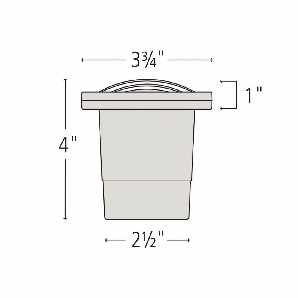81-BEL-558341