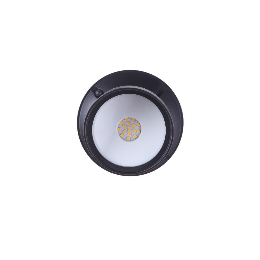 Z421-BZ-LED