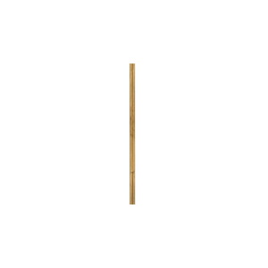 Accessory - 12 Inch Stem - .5 Inch Diameter - 1084762