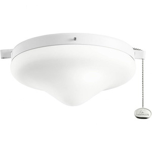 Accessory - 10.25 Inch 9W 2 LED Outdoor Ceiling Fan Light Kit - 938549