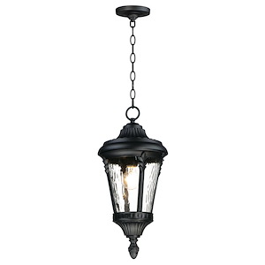 Sentry-One Light Outdoor Hanging Lantern-9 Inches wide by 19.75 inches high - 819482