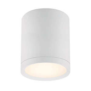 Lightray - 5 Inch 15W 1 LED Outdoor Flush Mount - 1067594