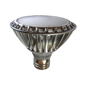 Accessory - 4.43 Inch 120V 11W PAR30 Replacement Lamp - 1027643