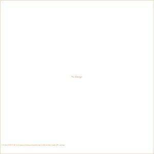 Stainless Steel Masonry Door