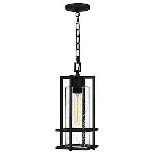 Damien - 1 Light Outdoor Hanging Lantern In Transitional Style-17.25 Inches Tall and 7.5 Inches Wide made with Coastal Armour - 1333448
