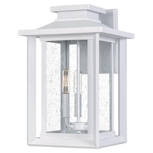 Wakefield 17 Inch Outdoor Wall Lantern Transitional for Wet Locations made with Coastal Armour - 688405