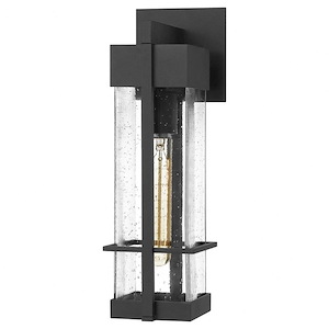 Wynn - 1 Light Medium Outdoor Wall Lantern made with Coastal Armour - 1025797