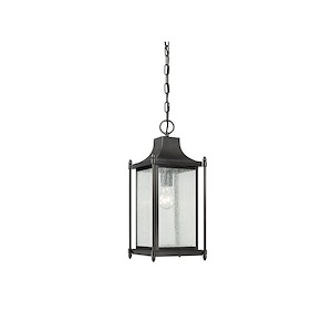 1 Light Outdoor Hanging Lantern-Transitional Style with Modern Farmhouse and Contemporary Inspirations-18.75 inches tall by 8 inches wide