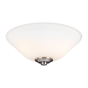 Accessory-11.75 Inch 18.6W 2 LED Light Kit