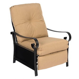 Belden - 40.75 Inch Cushion Recliner - 1083322